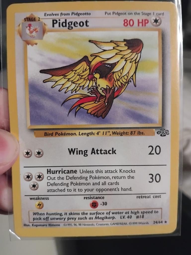 Pidgeot Pokémon kaart - jungle  24/64 (1999), Ophalen of Verzenden, Gebruikt, Losse kaart
