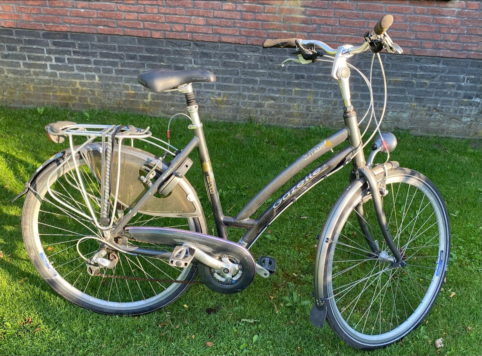 Gazelle Medeo Track & Trail Damesfiets, Fietsen en Brommers, Fietsen | Dames | Damesfietsen, Velgrem, Versnellingen, Ophalen of Verzenden