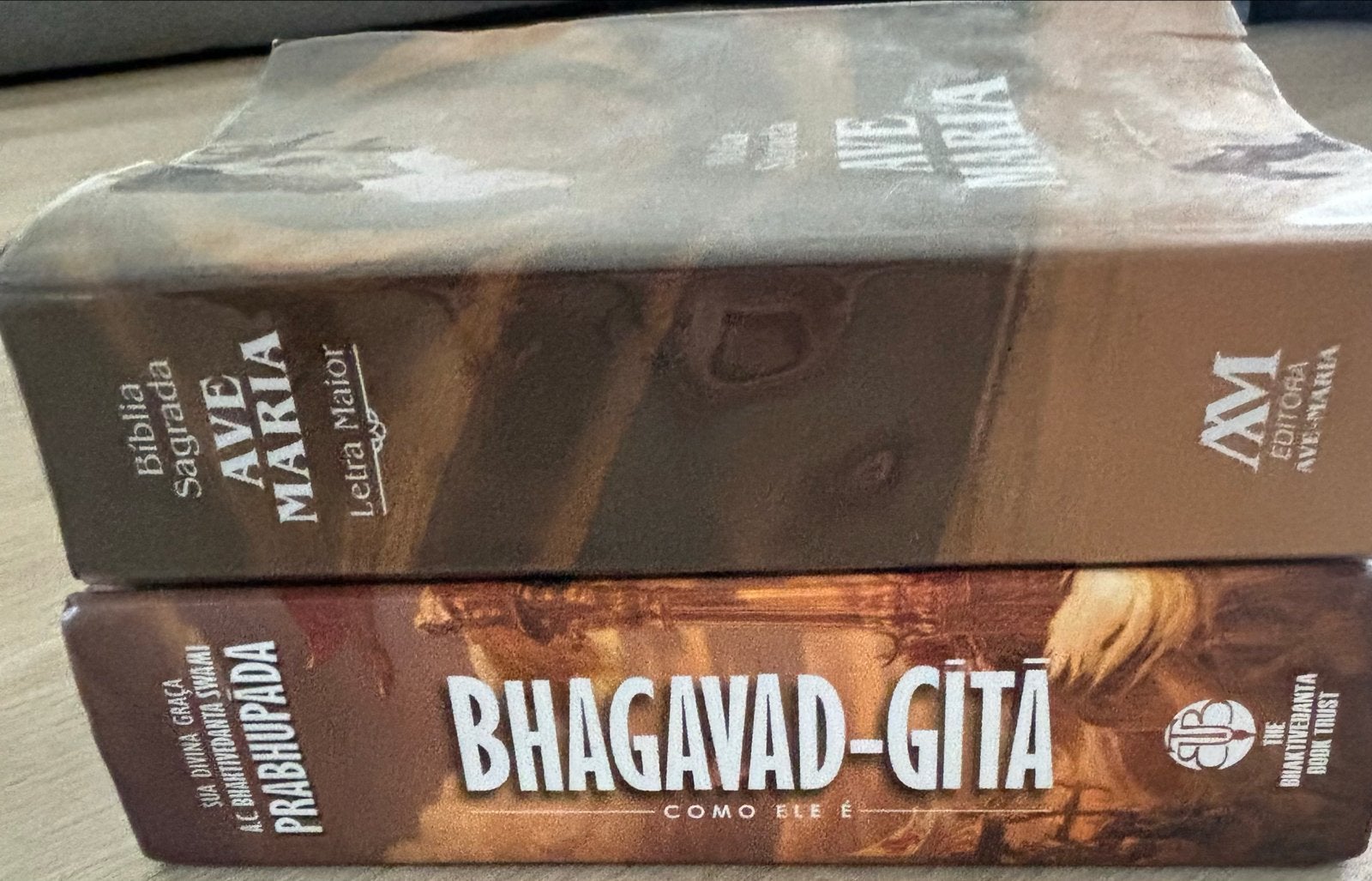 Bhagavad-Gita en Bijbel Ave Maria (Portugees), Ophalen of Verzenden, Zo goed als nieuw, Spiritualiteit algemeen, Verhaal of Roman