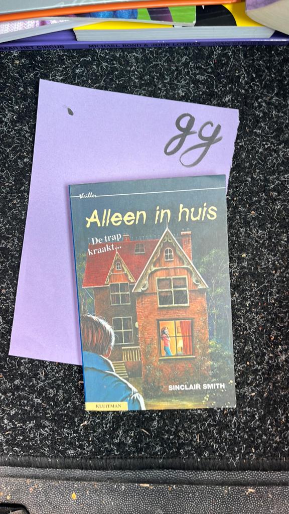 Alleen in huis - Sinclair Smith (Thriller), Ophalen of Verzenden, Zo goed als nieuw, Nederland