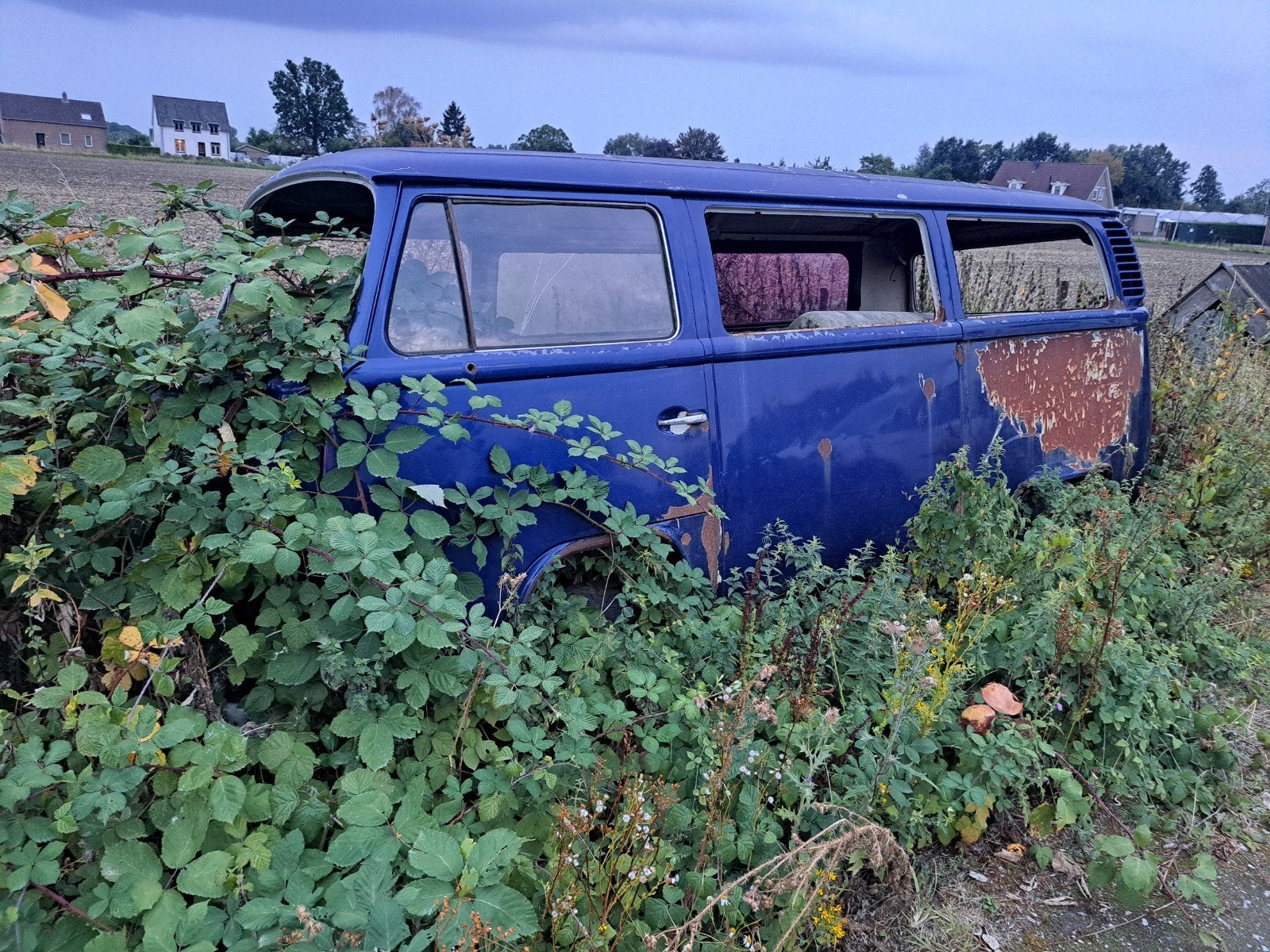 Vw t2, Ophalen, Gebruikt, Volkswagen