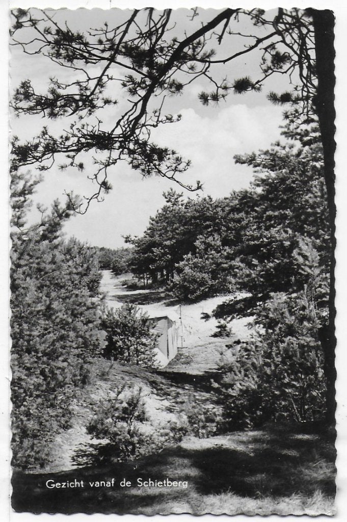 Luyksgestel Ansichtkaart uit 1965 ( B1261 ), Ophalen of Verzenden, 1960 tot 1980, Gelopen