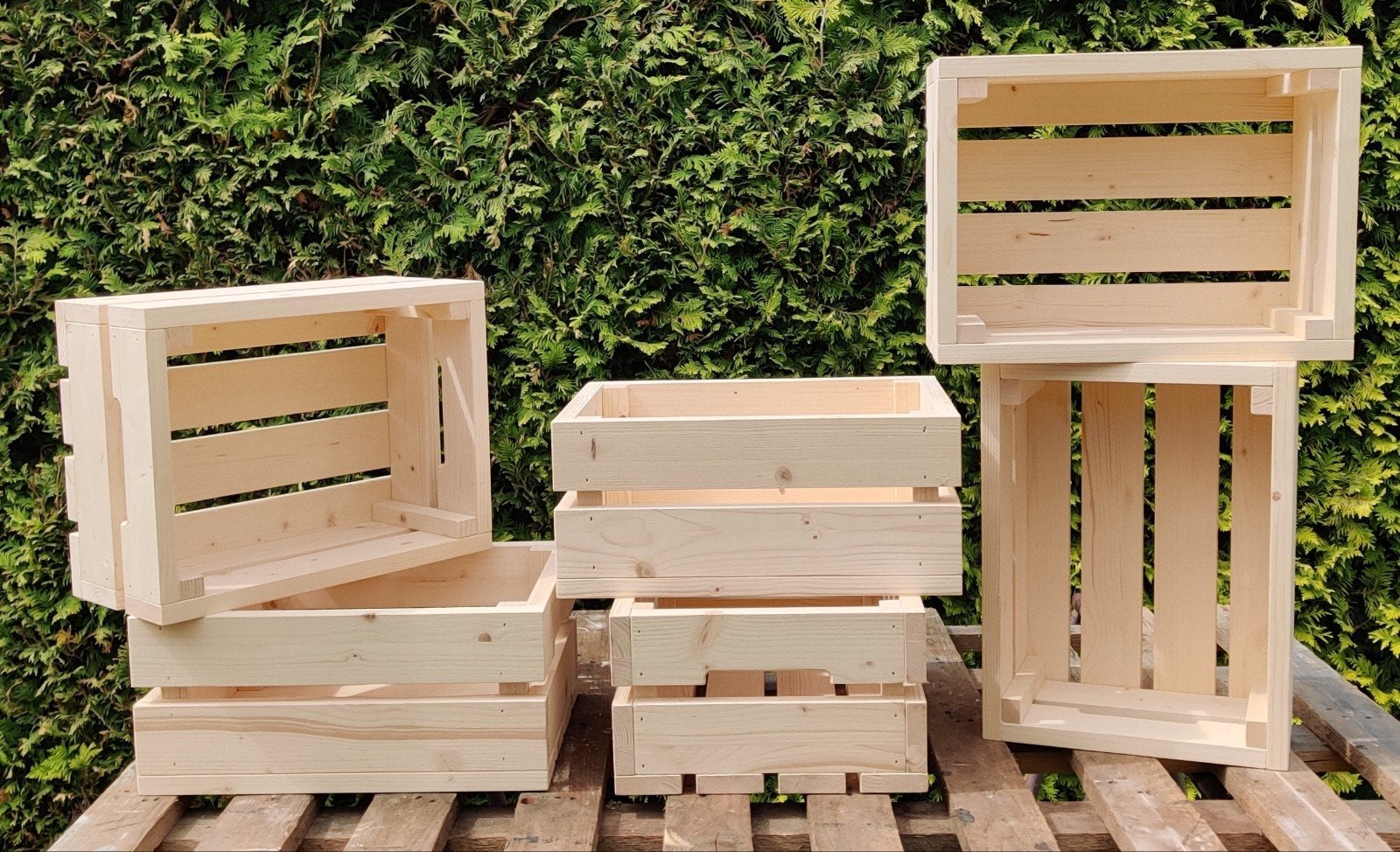 Vurenhouten kistjes 36x27x16 cm, Ophalen, Minder dan 50 cm, Nieuw, Minder dan 50 cm