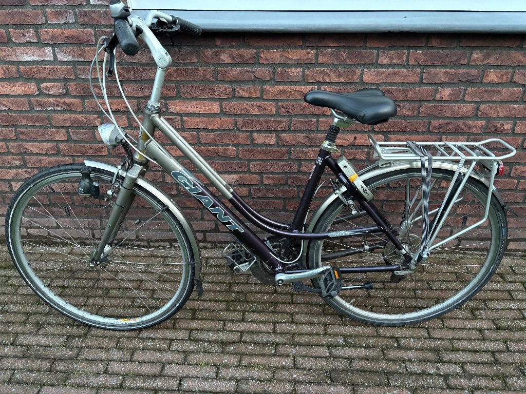 Giant freerider damesfiets, Fietsen en Brommers, Ophalen, Gebruikt, Velgrem, Versnellingen
