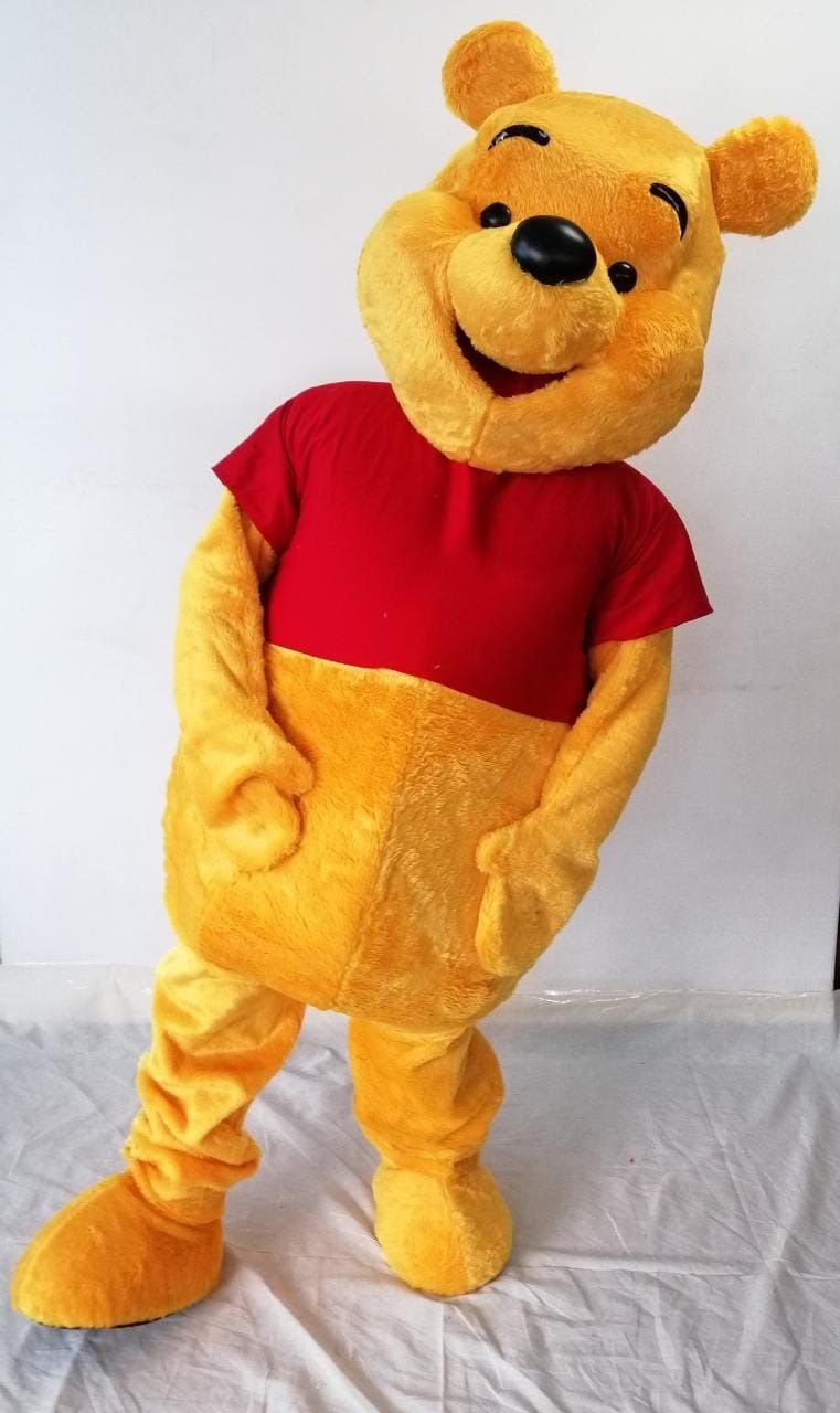 WINNIE DE POOH MASCOTTE VERHUUR, Hobby en Vrije tijd, Feestartikelen | Verhuur, Ophalen of Verzenden, Zo goed als nieuw, Verjaardag