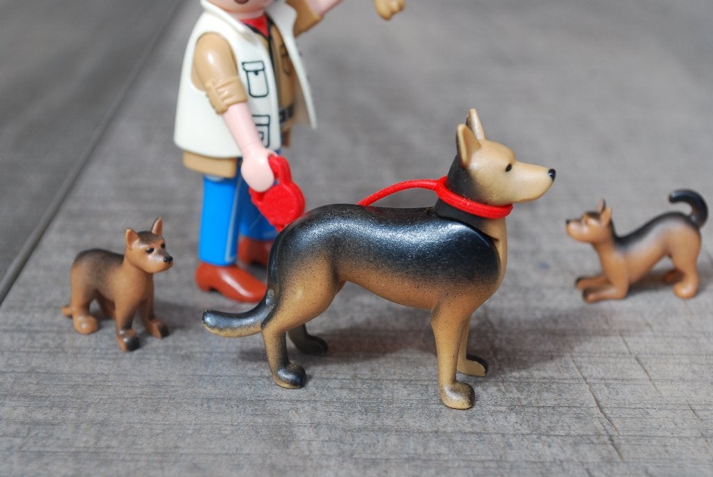 Playmobil set 5211 man met herdershond en pups, Complete set, Ophalen of Verzenden, Zo goed als nieuw, City life