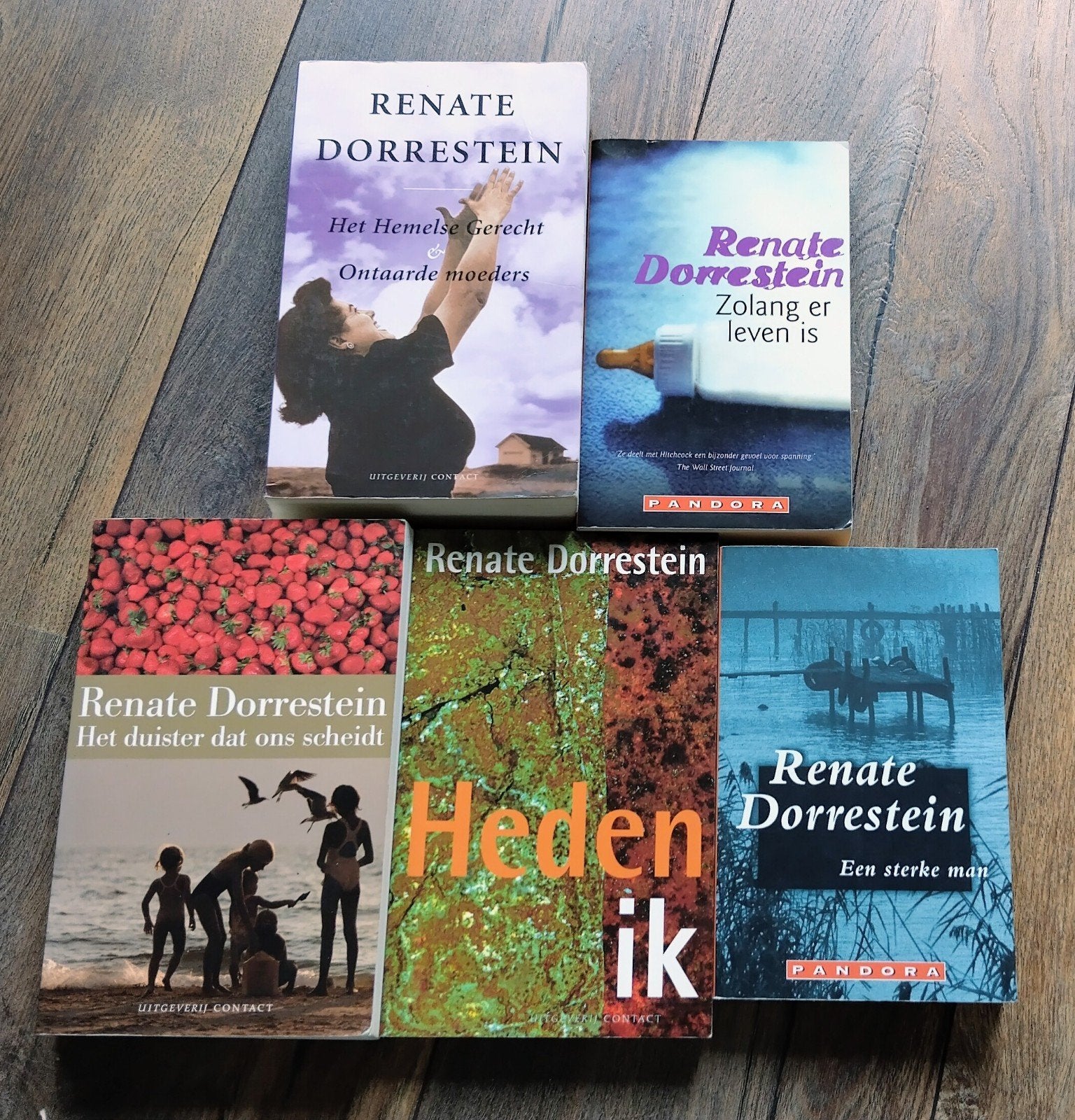 Renate Dorrestein boekenpakket: 5 titels in prima staat, Ophalen of Verzenden, Gelezen