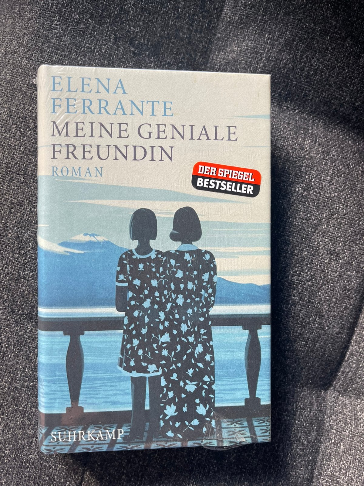 Meine Geniale Freundin van Elena Ferrante, Boeken, Ophalen, Nieuw, Europa overig