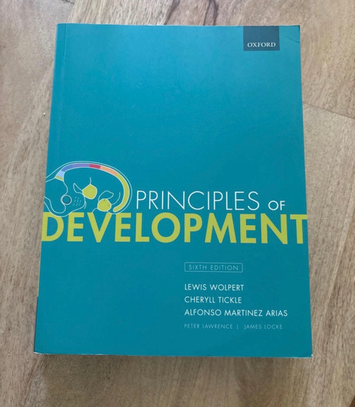 Principles of Development, Boeken, Ophalen of Verzenden, Beta, Zo goed als nieuw, WO