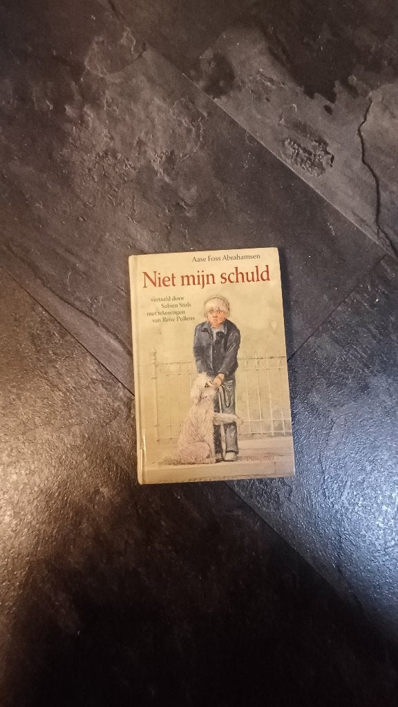 Niet mijn schuld – Aase Foss Abrahamsen, Ophalen of Verzenden, Gelezen