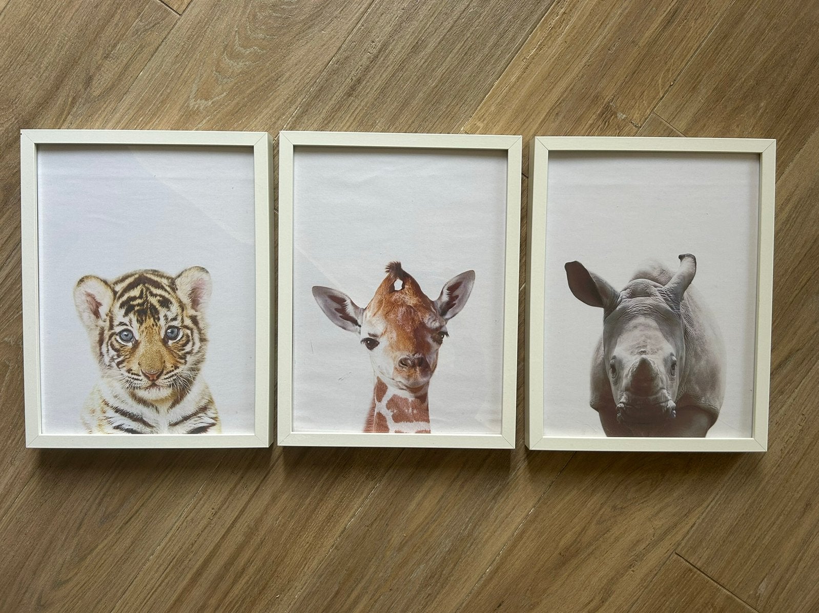 IKEA Ribba fotolijsten met babydieren posters | mt. 30x40 cm, Ophalen of Verzenden, Zo goed als nieuw, Wit