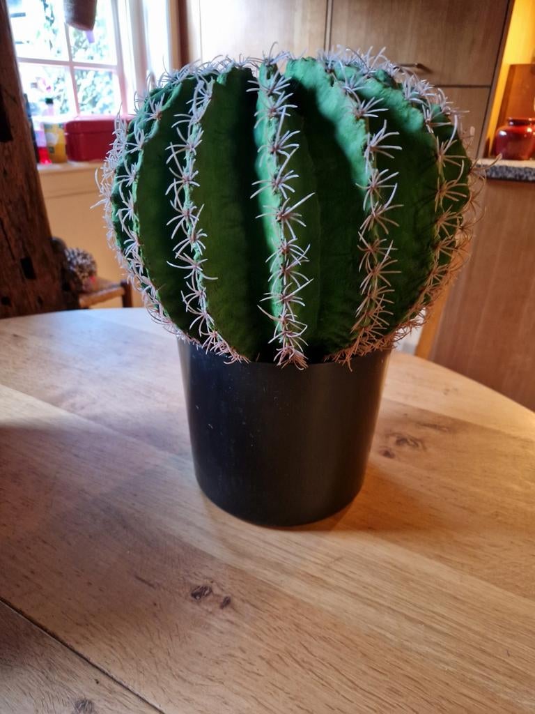 GROTE ZWARE NEP CACTUS MET POT, Huis en Inrichting, Woonaccessoires | Kunstplanten en Kunstbloemen, Ophalen of Verzenden