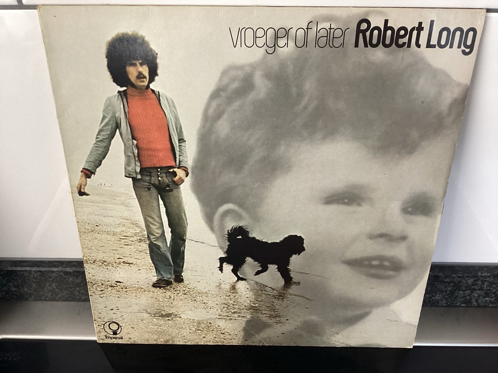Robert Long - Vroeger of Later (LP), LP, Gebruikt, Pop, Ophalen of Verzenden