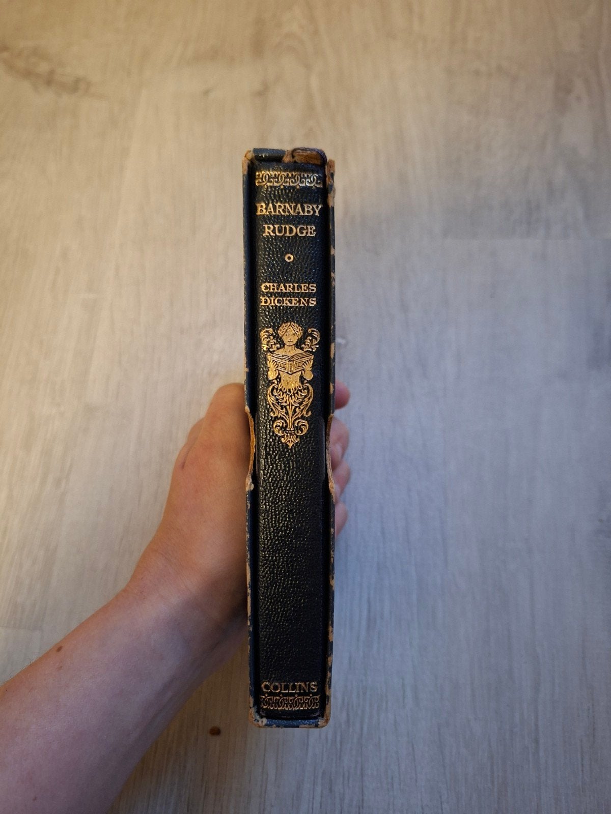 Barnaby Rudge - Charles Dickens, Ophalen of Verzenden