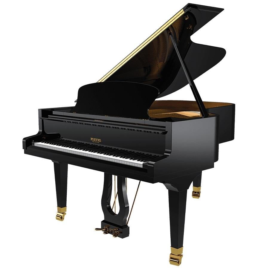 Pleyel P190BLK Vleugel NIEUW, Zwart, Ophalen of Verzenden, Pleyel SAS, Nieuw