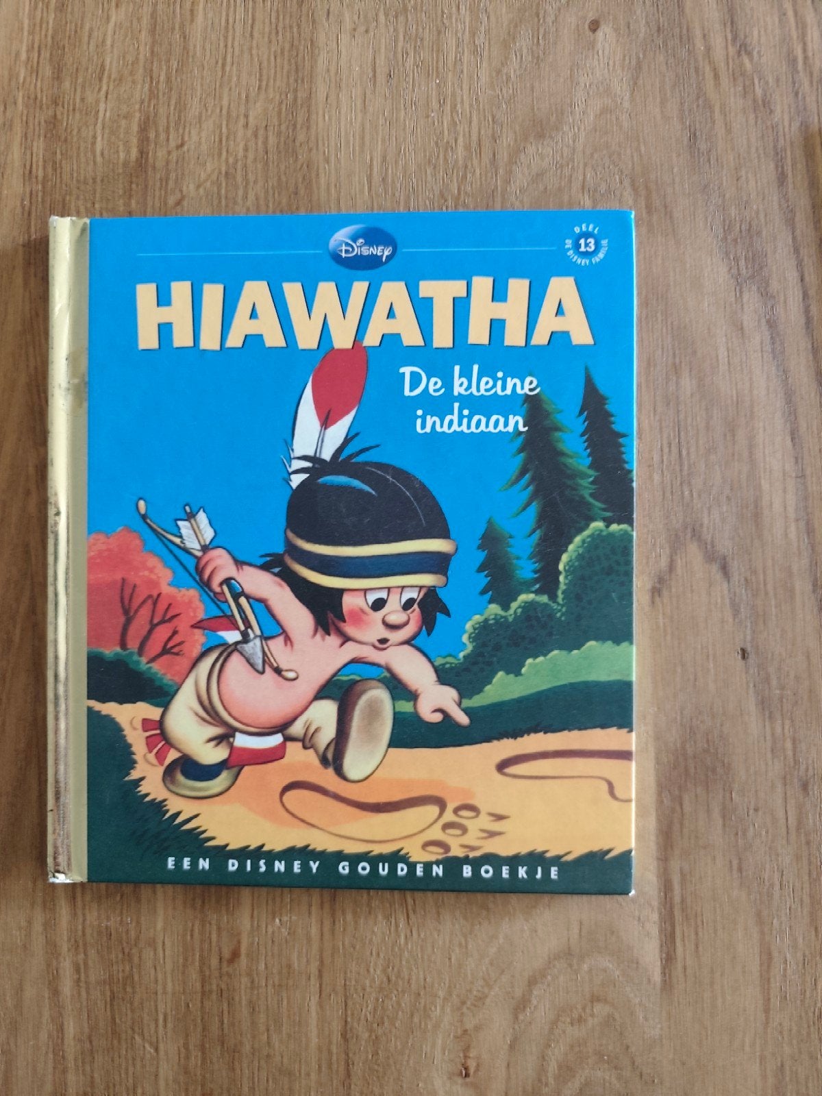 Gouden boekje Hiawatha, Ophalen, Gelezen, Fictie algemeen