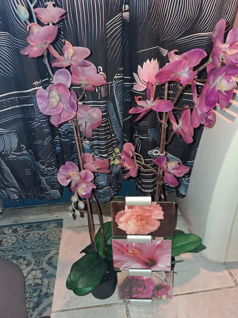 2 kunst orchideeën en fotolijst met bloemen, Ophalen