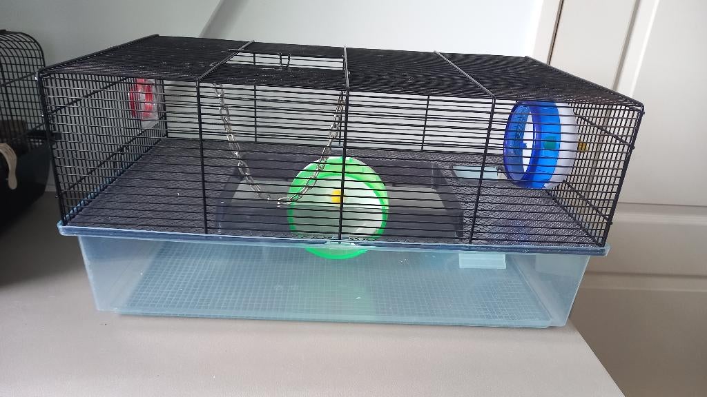 Knaagdier kooi, Dieren en Toebehoren, Kooi, Gebruikt, Minder dan 75 cm, Muis