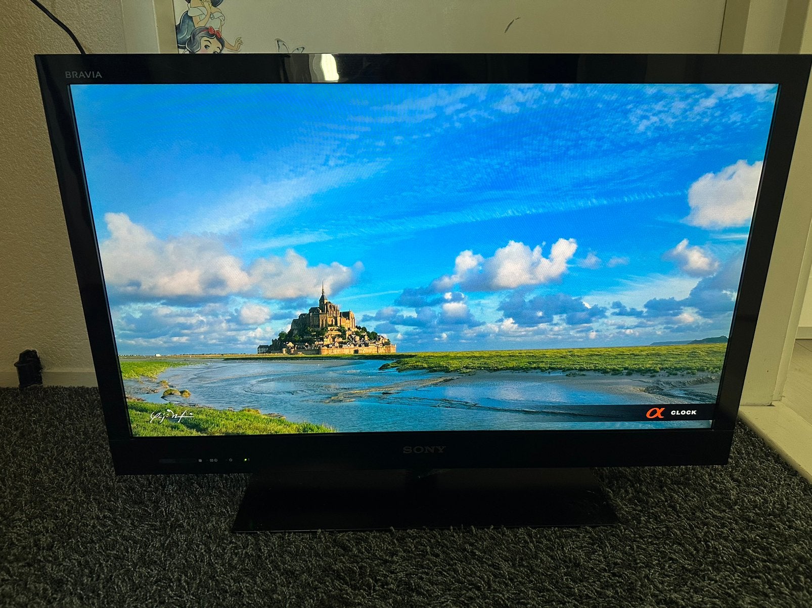 Sony Bravia 32 inch met Ab, Ophalen, 50 Hz, LCD, 80 tot 100 cm