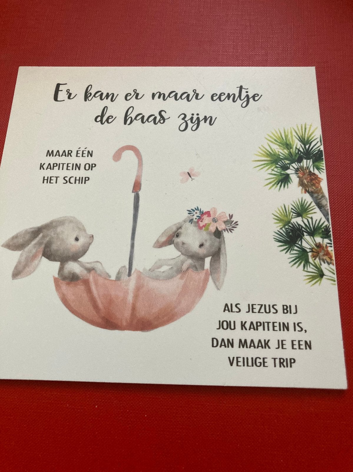 Mooi plaatje, Huis en Inrichting, Ophalen of Verzenden, Zo goed als nieuw