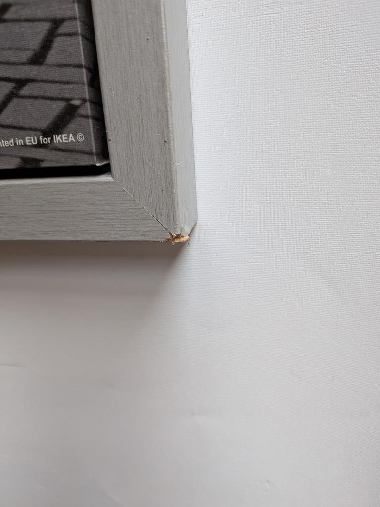 IKEA VILSHULT Amsterdam Print XXL | 140x100 | Iconisch, Ophalen, Contact.nl@ikea.com, Gebruikt, Oorspronkelijke maker