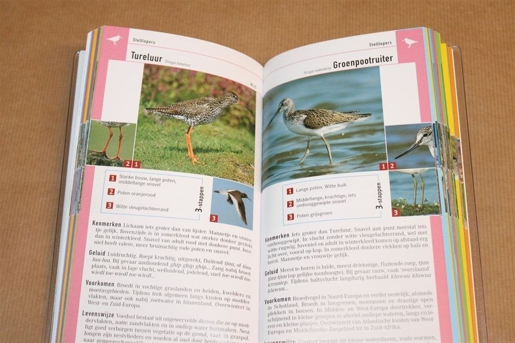 Vogels herkennen in 1-2-3 — Gids van Vogelbescherming, Ophalen of Verzenden, Zo goed als nieuw, Vogels