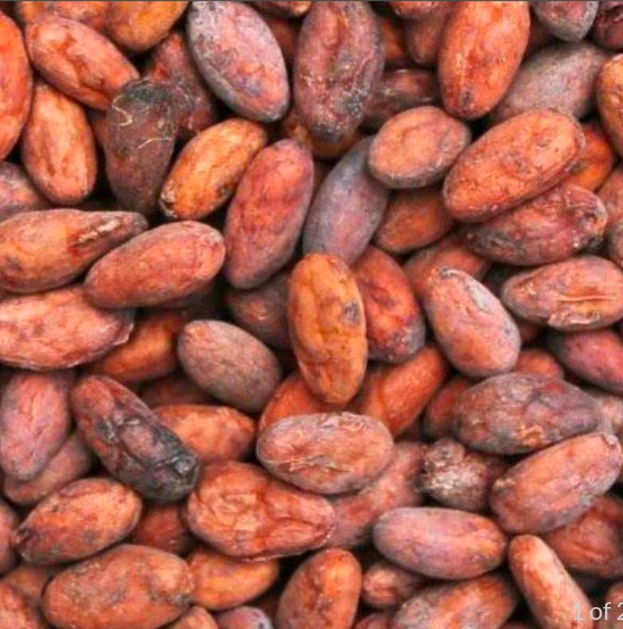 cacao bonen - Organic, Diversen, Ophalen of Verzenden