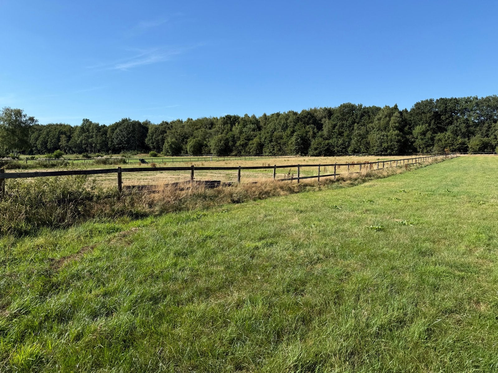 Degelijk Hekwerk voor Paarden of groot vee- Gebruikt, Ophalen