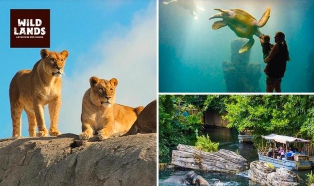 Tickets Wildlands geldig tm 31-07-2026, Tickets en Kaartjes, Drie personen of meer, Ticket of Toegangskaart
