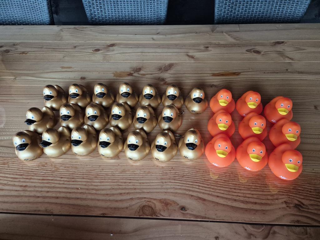 Gouden en Oranje Eendjes - Decoratie of Carnaval, Ophalen, Gebruikt