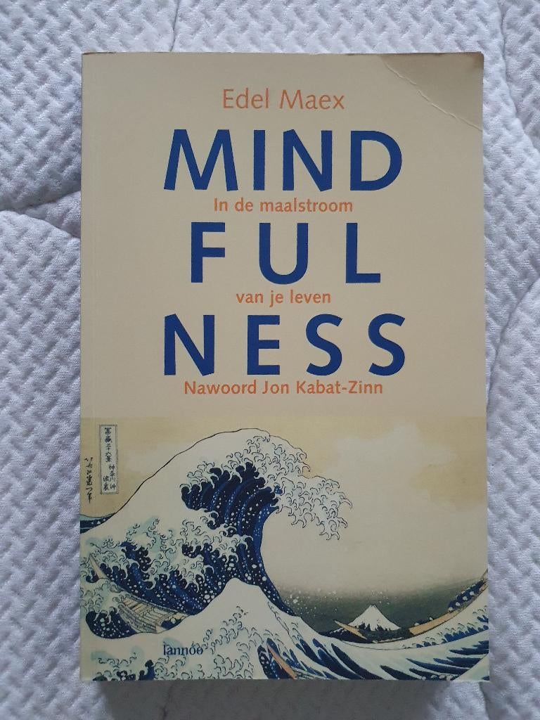 Mindfulness Edel Maex (in de maalstroom van je leven), Ophalen of Verzenden, Zo goed als nieuw, Spiritualiteit algemeen, Overige typen
