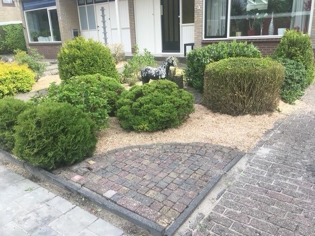 Bodembedekker |Miscanthus |mulch |duurzaam |natuurlijk, Ophalen, Ingenieursbureau Groninger, Dekamalaan 4, 8604 ZE Sneek, Info@ingenieursbureaugroninger.nl