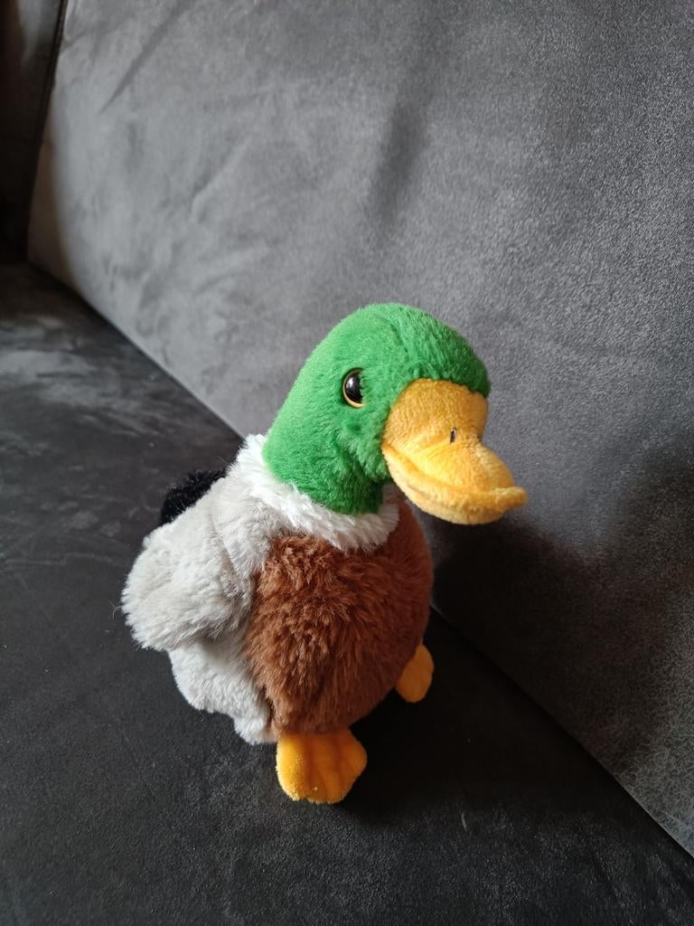 Knuffel eend, Ophalen, Zo goed als nieuw, Eend