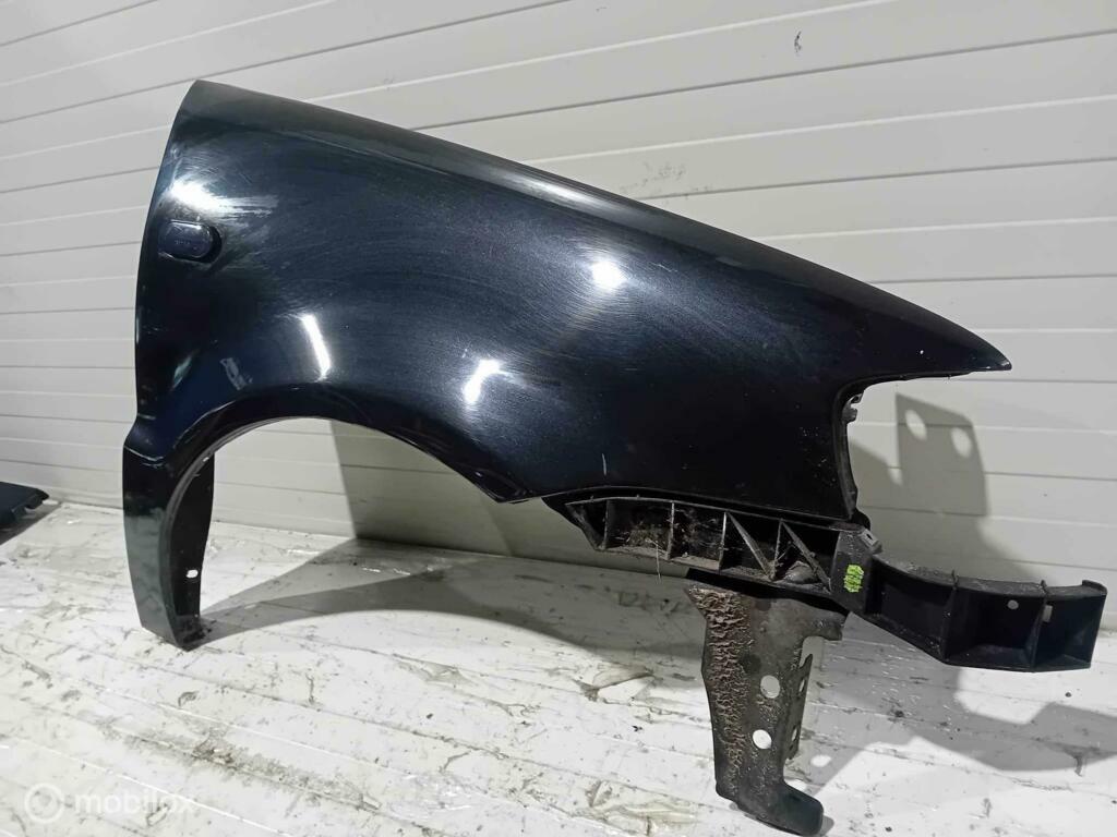 Spatscherm Volkswagen Polo, Ophalen of Verzenden, Gebruikt