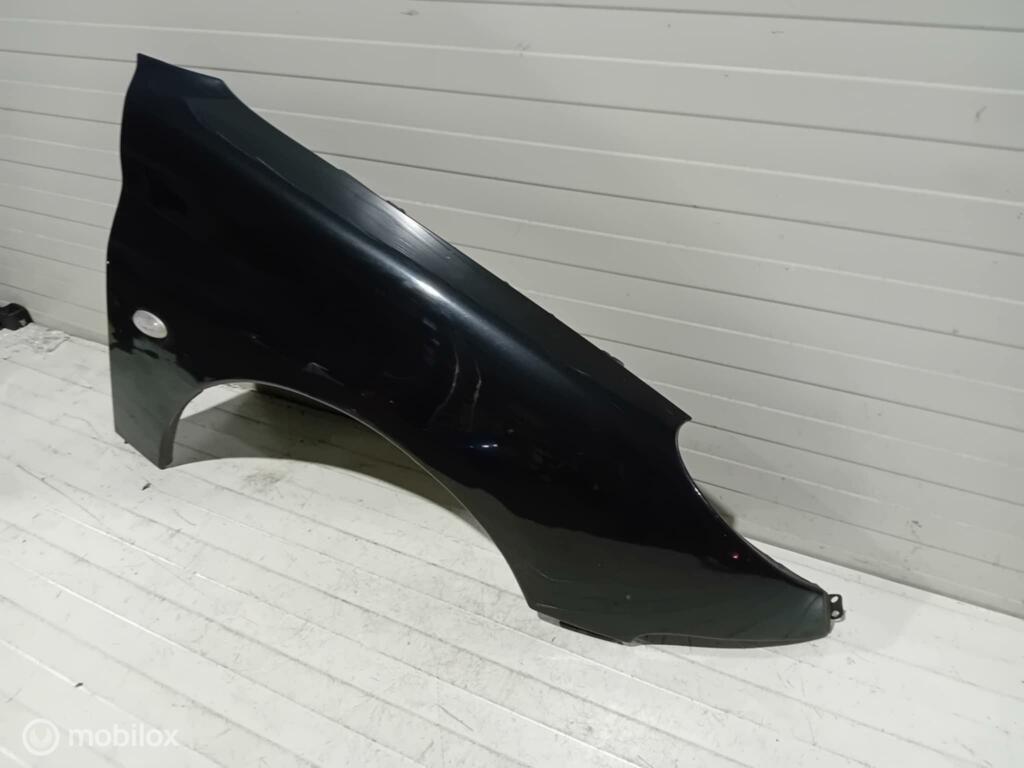 Spatscherm Peugeot 206, Auto-onderdelen, Gebruikt, Ophalen of Verzenden