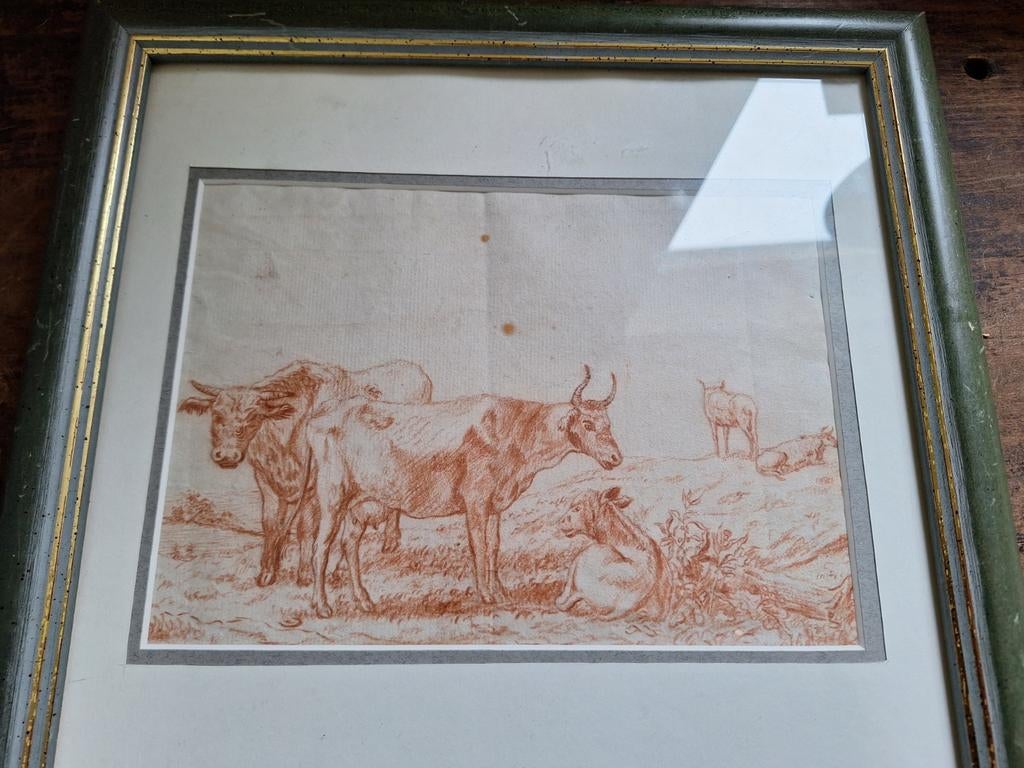 Antieke 18e eeuwse tekening van koeien, Ophalen of Verzenden