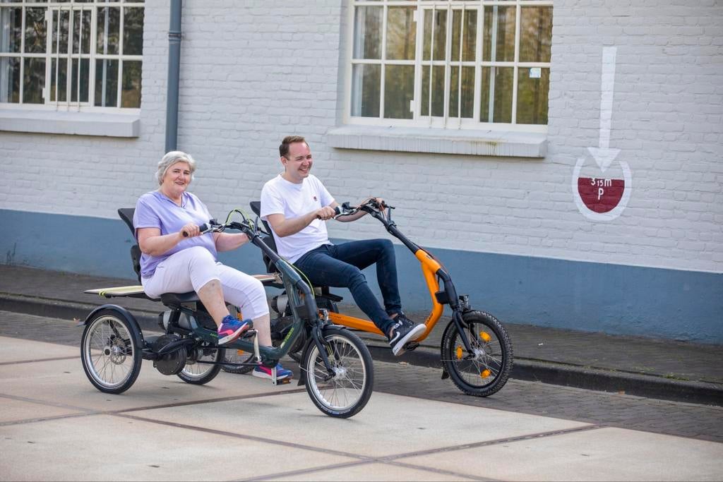 Van Raam Easy Rider 3 - direct leverbaar, Ophalen, Zo goed als nieuw, Van Raam