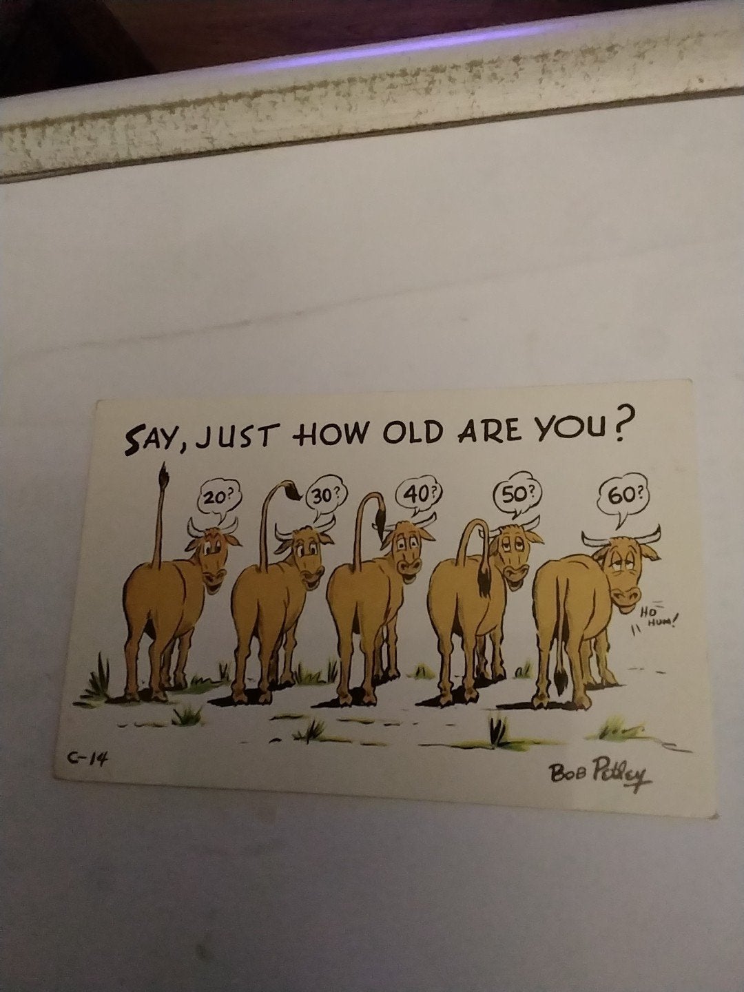 Grappige Ansichtkaart: Hoe oud ben jij?, Verzamelen, Ophalen of Verzenden, 1960 tot 1980, Gelopen