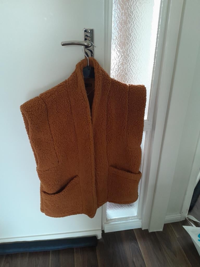 Zara Teddy Gilet - Maat L/XL - Zo goed als nieuw, Kleding | Dames, Jassen | Zomer, Zo goed als nieuw, Maat 42/44 (L), Bruin, Ophalen of Verzenden
