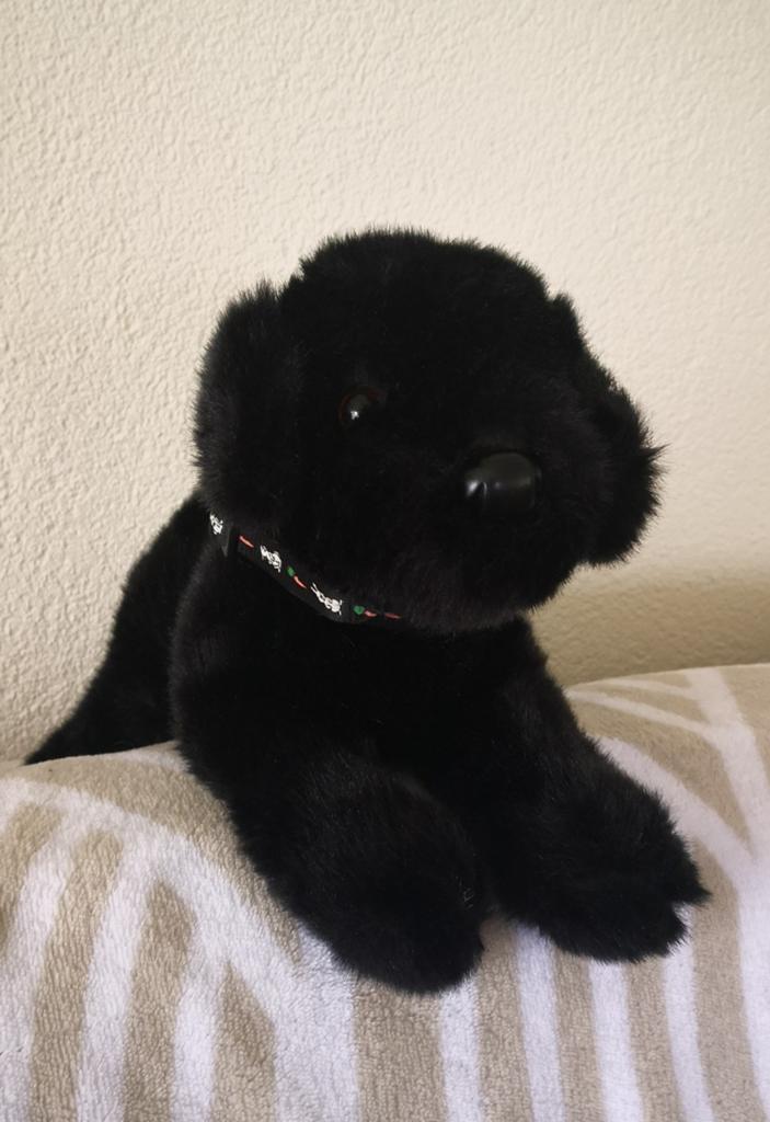 Knuffel Zwarte Labrador., Ophalen of Verzenden, Zo goed als nieuw, Overige typen