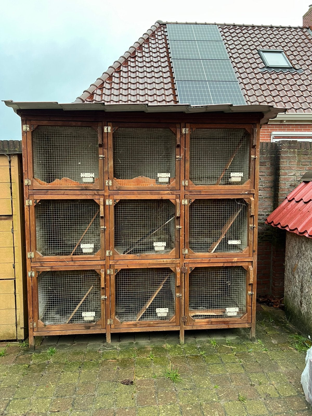 Konijnenflat’s, Minder dan 60 cm, Kooi, 110 cm of meer, Verzenden