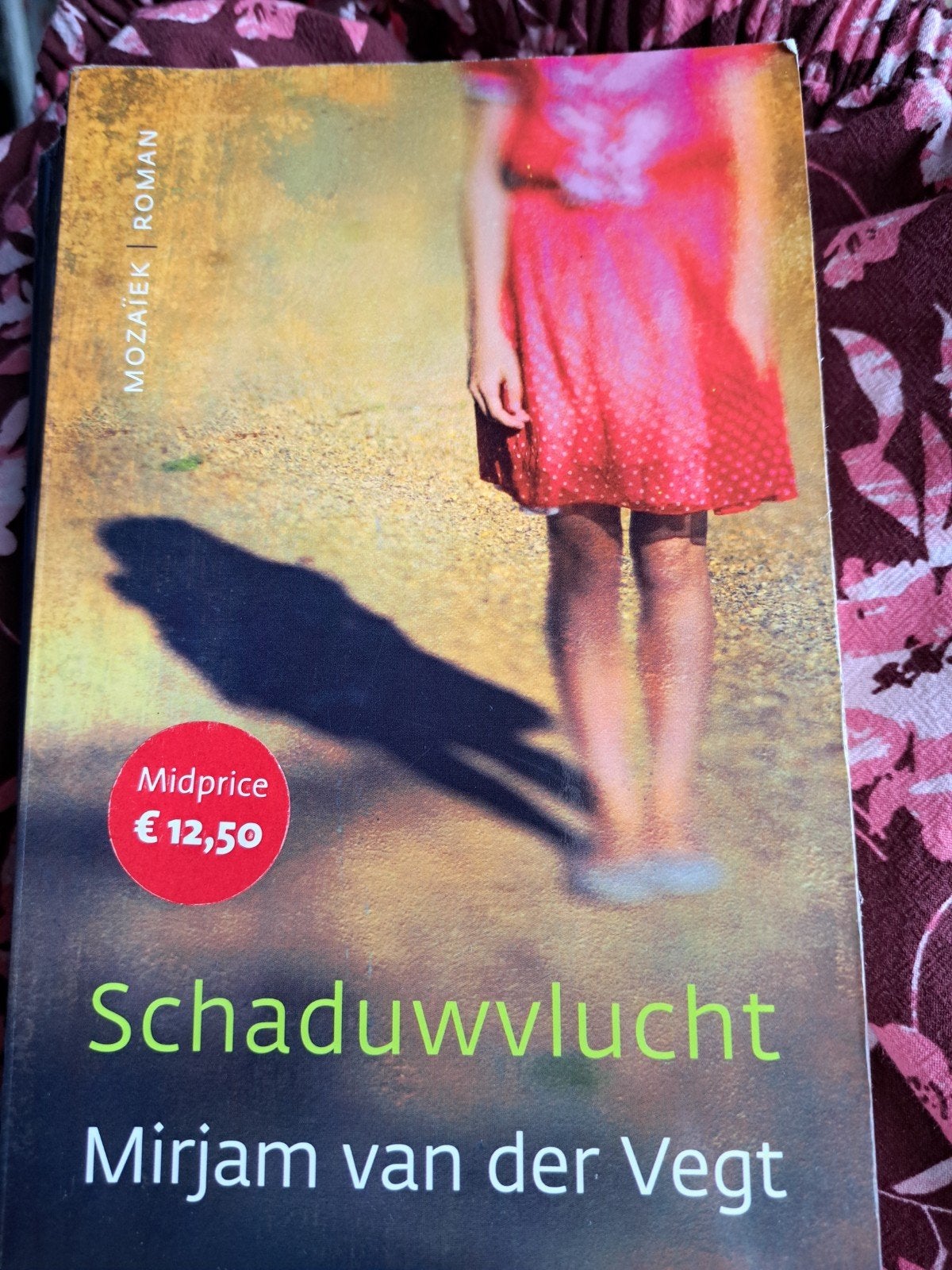 Schaduwvucht - Mirjam van der Vegt (Roman), Gelezen, Ophalen of Verzenden, Nederland, Mirjam van der Vegt