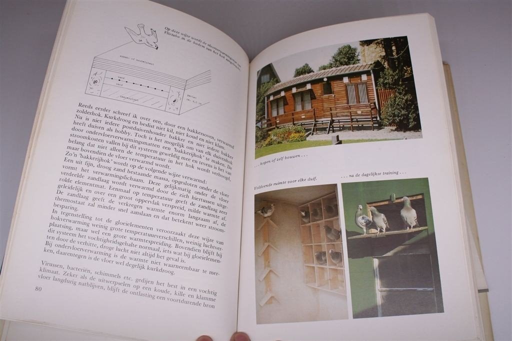 Postduiven — Voeding, Verzorging, Huisvesting, Wedvlucht, Ophalen of Verzenden, Gelezen, Vogels