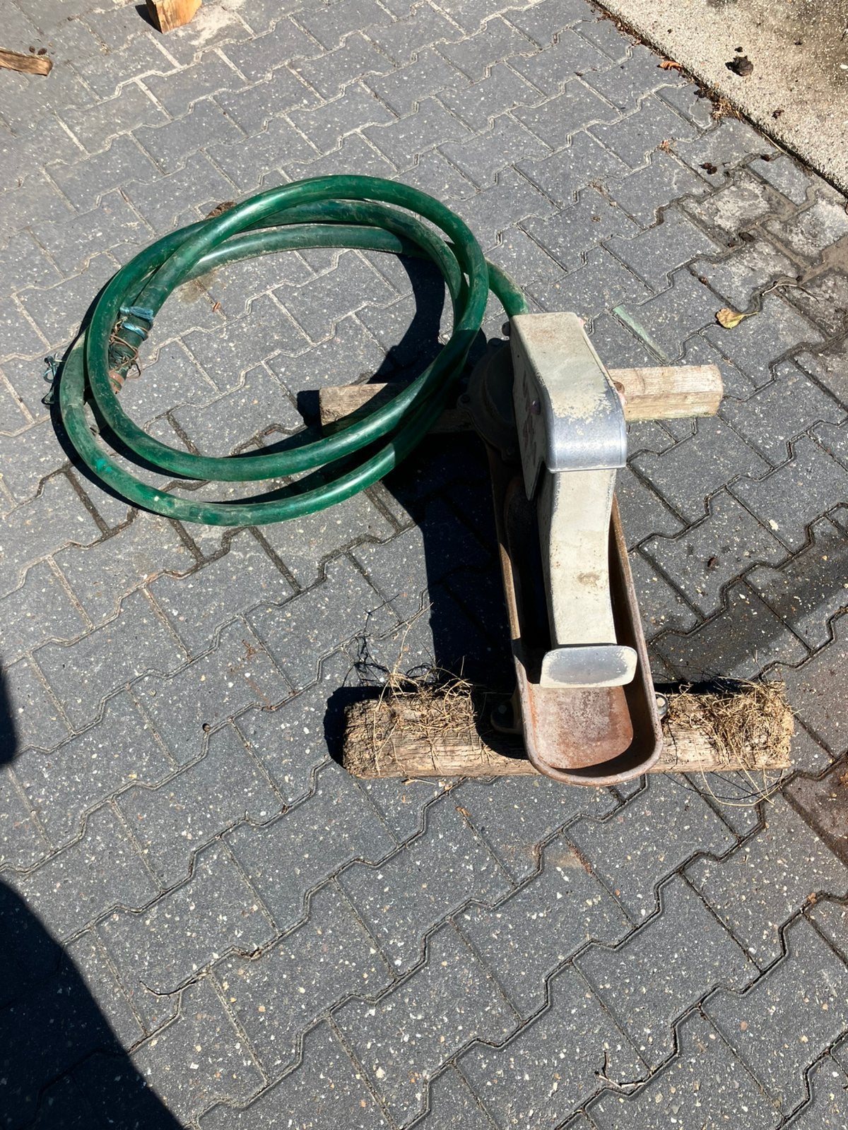 Weide drinkbak utina m, Weidegang