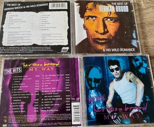 Douwe Bob/Herman Brood/Di-Rect/Clarks/Born In A Barn/Flavium, Ophalen of Verzenden, Zo goed als nieuw, Poprock, Album