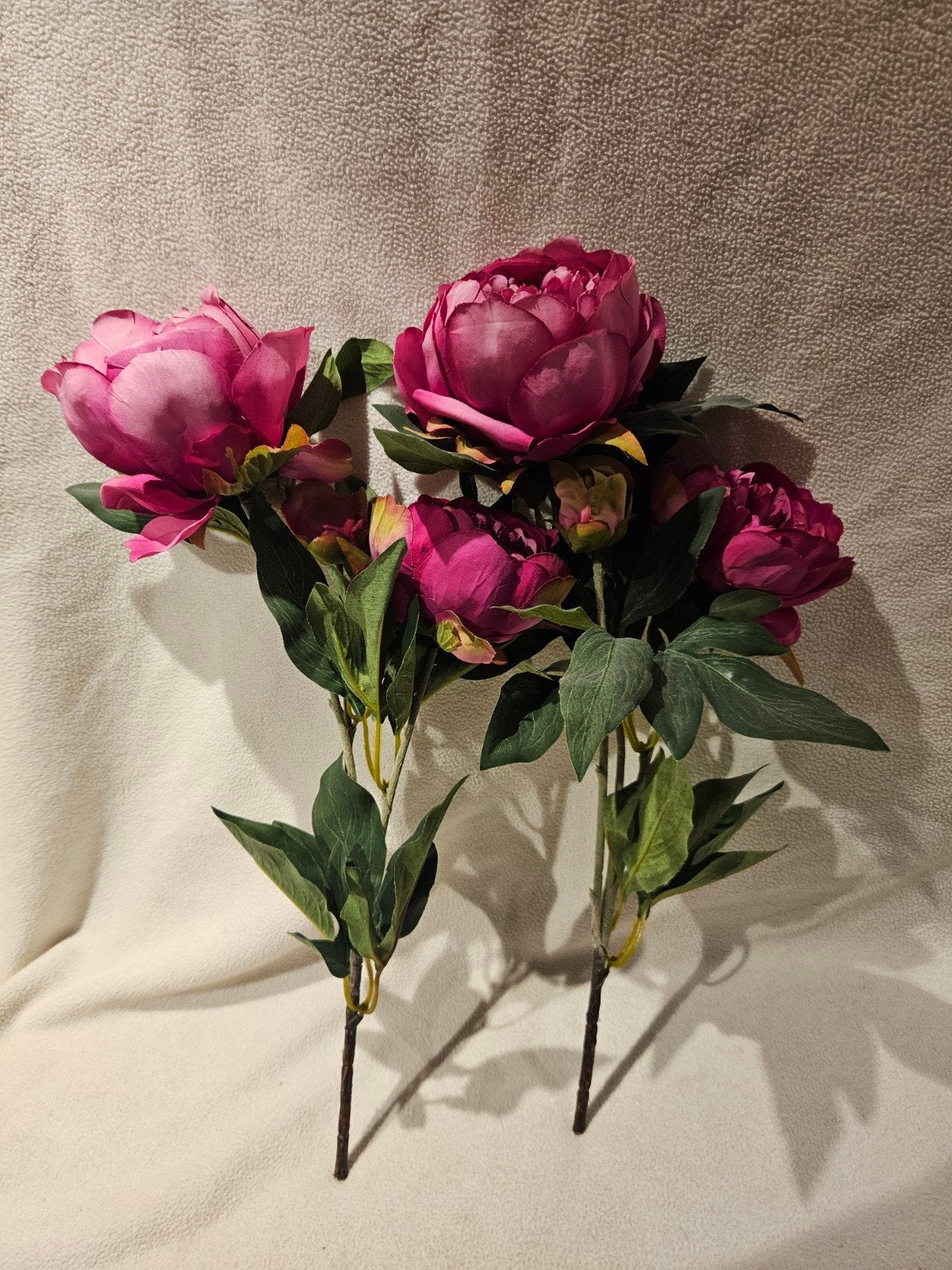 2 Pioenrozen (kunst), Ophalen, Zo goed als nieuw, Roze