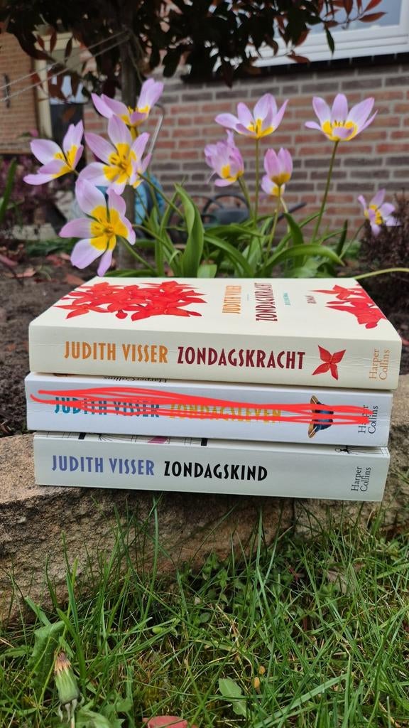 Judith Visser - Zondagskracht (Roman), Boeken, Ophalen of Verzenden, Zo goed als nieuw, Judith Visser, Nederland