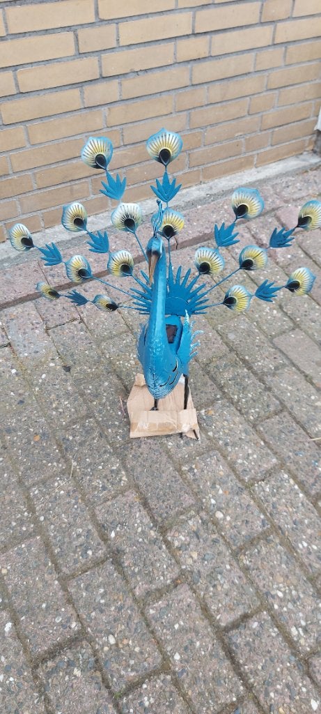 Metalen pauwhaan, Ophalen of Verzenden
