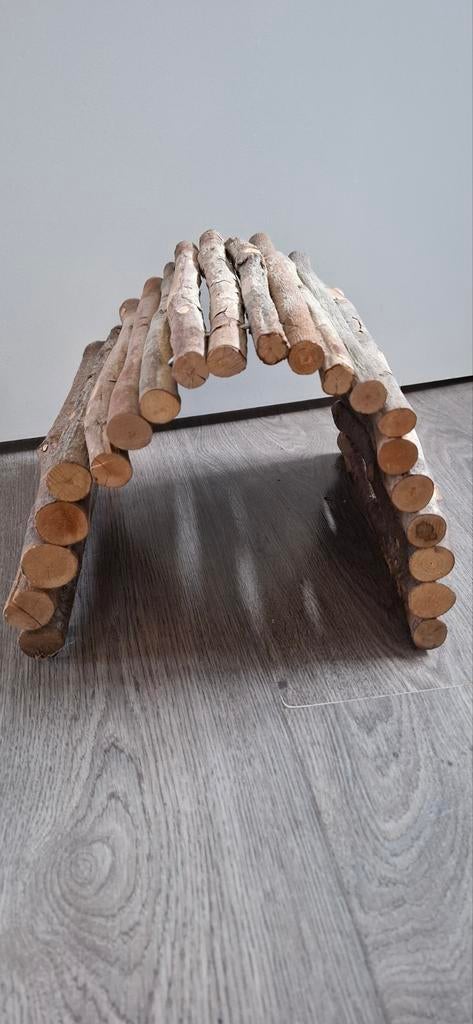 Knaagdieren houten brug, Dieren en Toebehoren, Ophalen of Verzenden, Gebruikt, Overige typen