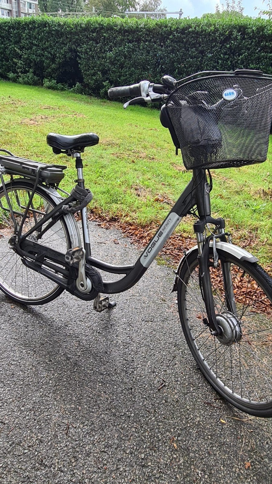 Vogue Infinity elektrische fiets - opknapper, Ophalen